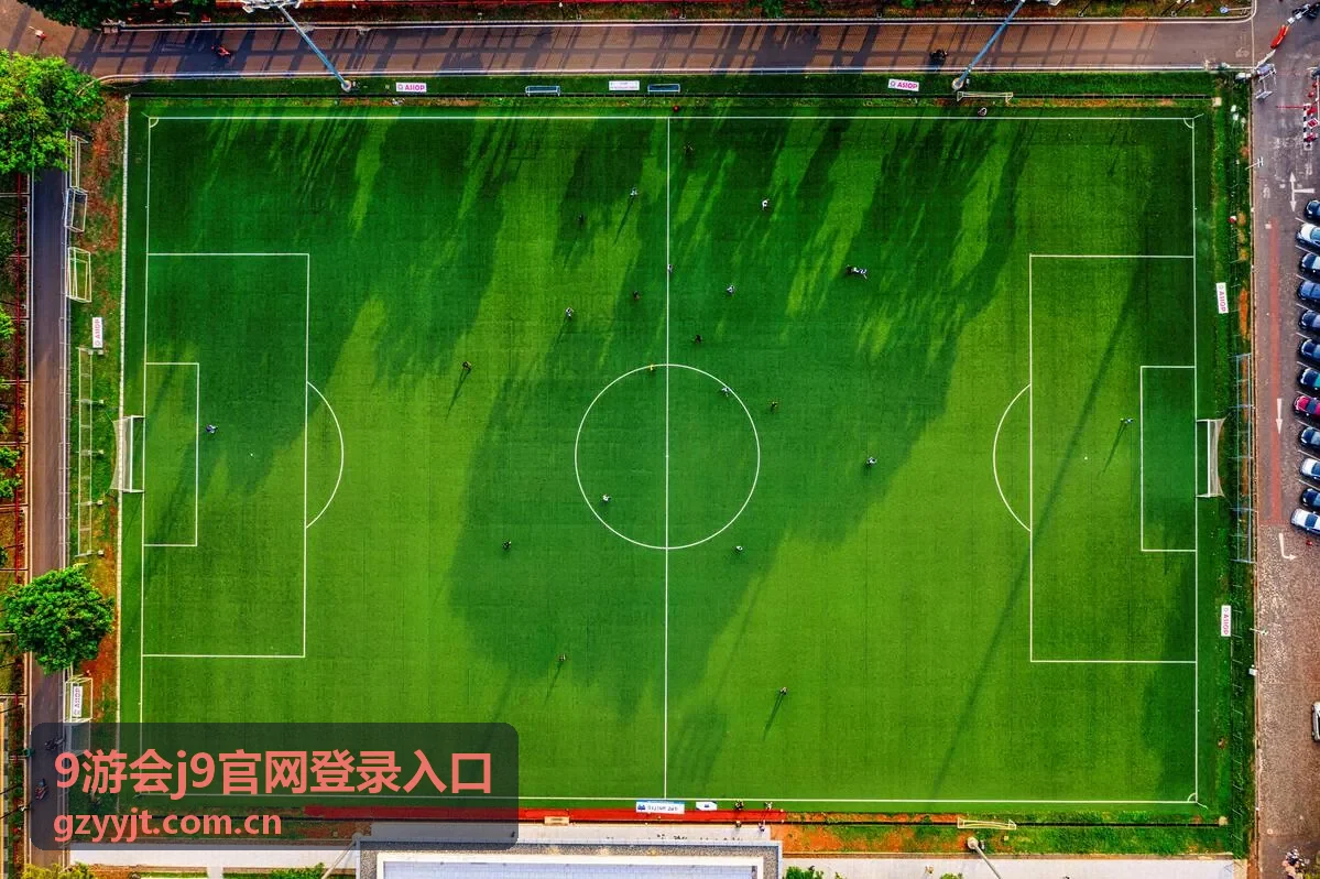 9游会j9官网登录入口安全验证提示说明