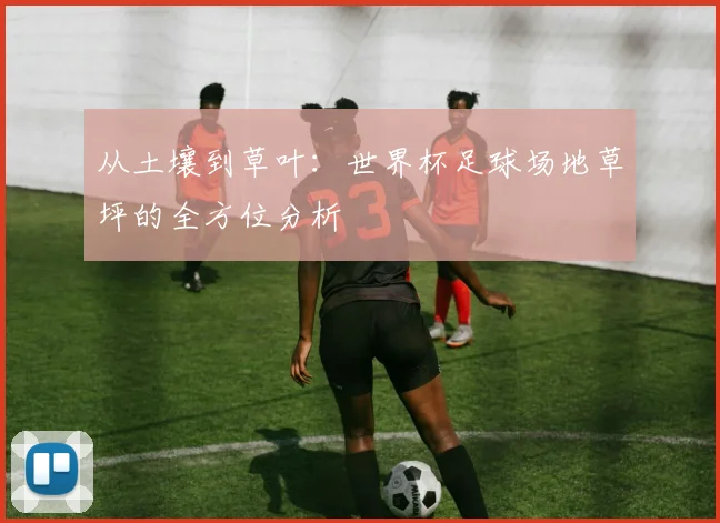 从土壤到草叶：世界杯足球场地草坪的全方位分析